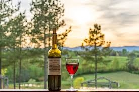 Vineyards